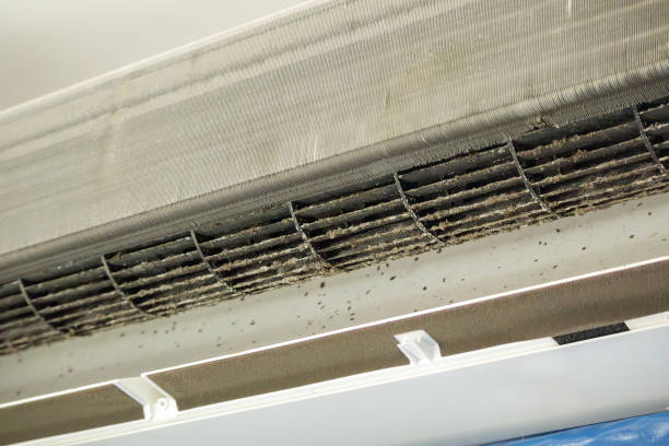 Best Affordable Air Duct Cleaning  in Seat Pleasant, MD